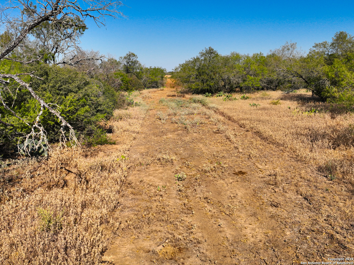 +/- 27.5 Acres County Road 302 Floresville TX 78114