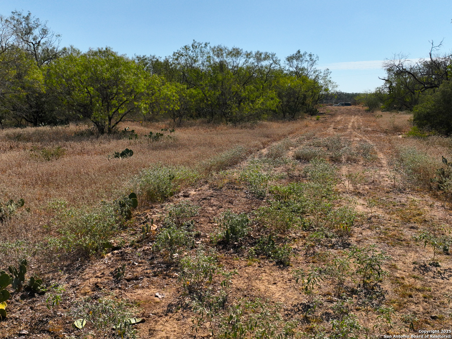 +/- 27.5 Acres County Road 302 Floresville TX 78114
