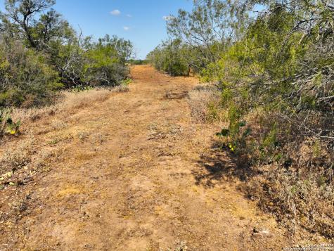 +/- 27.5 Acres County Road 302 Floresville TX 78114
