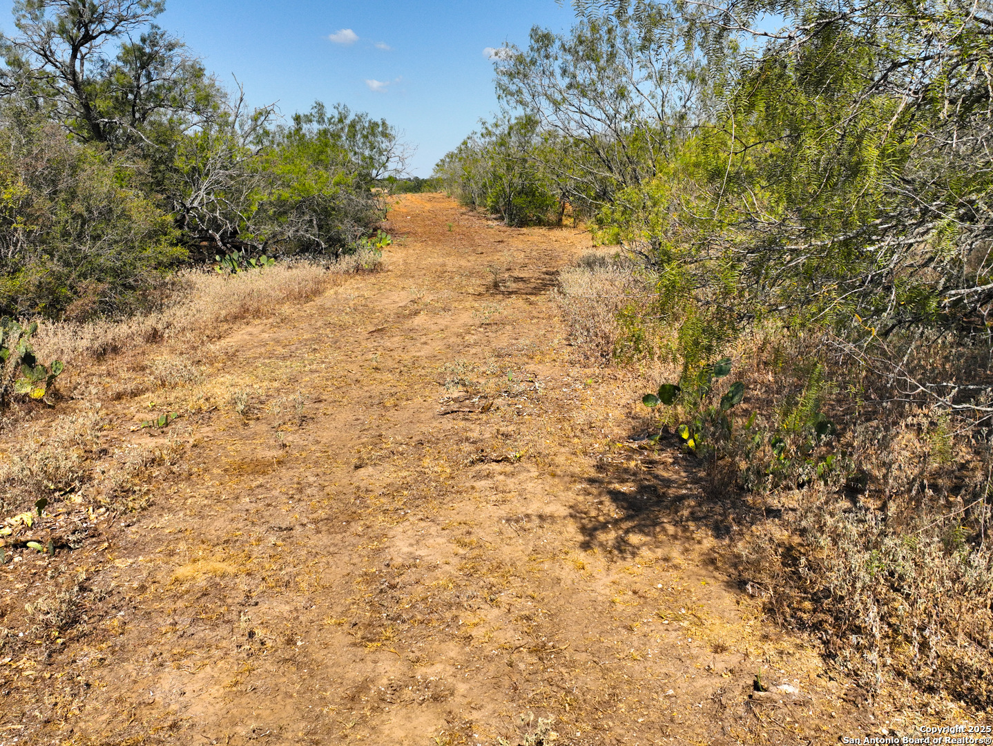 +/- 27.5 Acres County Road 302 Floresville TX 78114