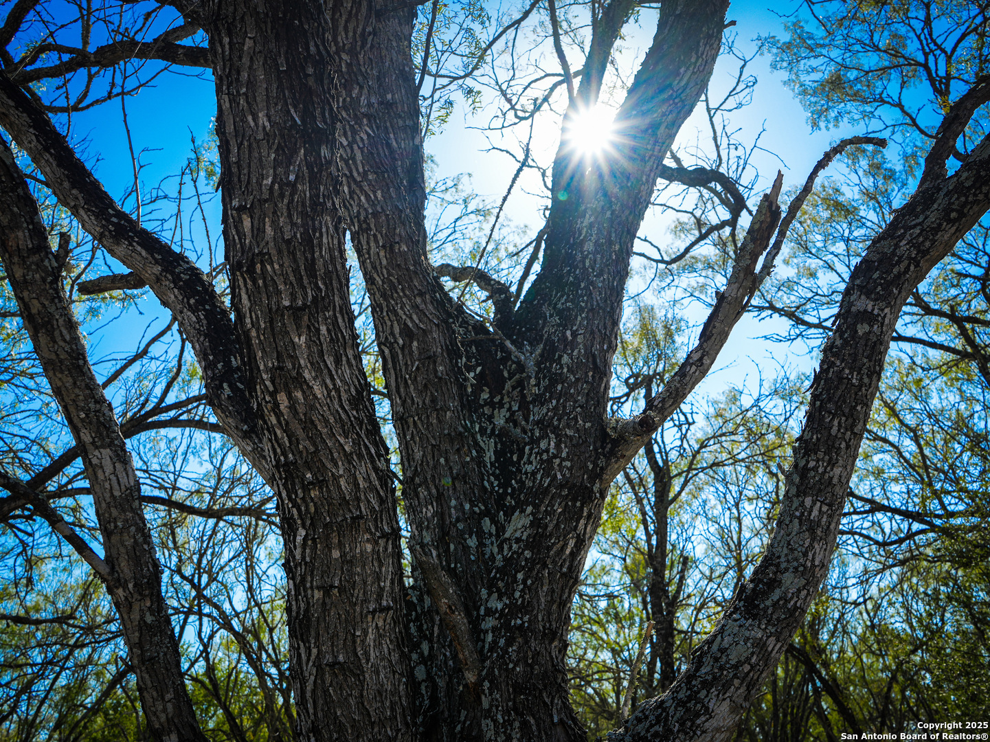 +/- 27.5 Acres County Road 302 Floresville TX 78114