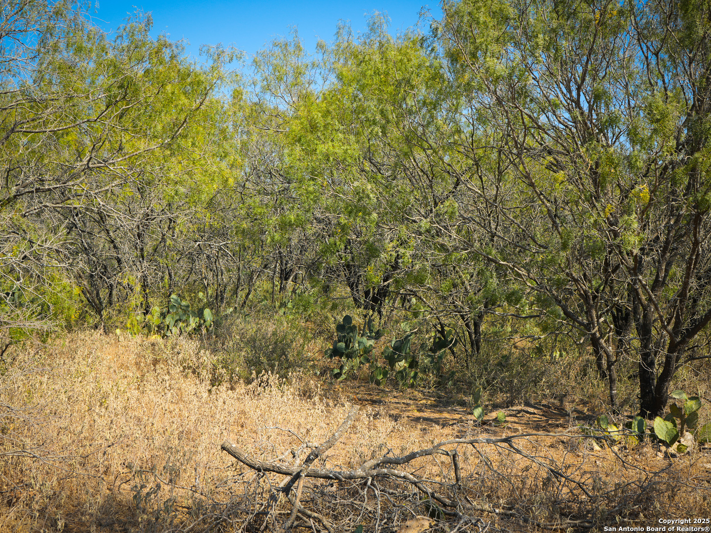 +/- 27.5 Acres County Road 302 Floresville TX 78114