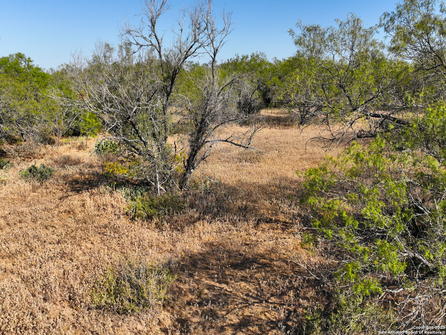 +/- 27.5 Acres County Road 302 Floresville TX 78114