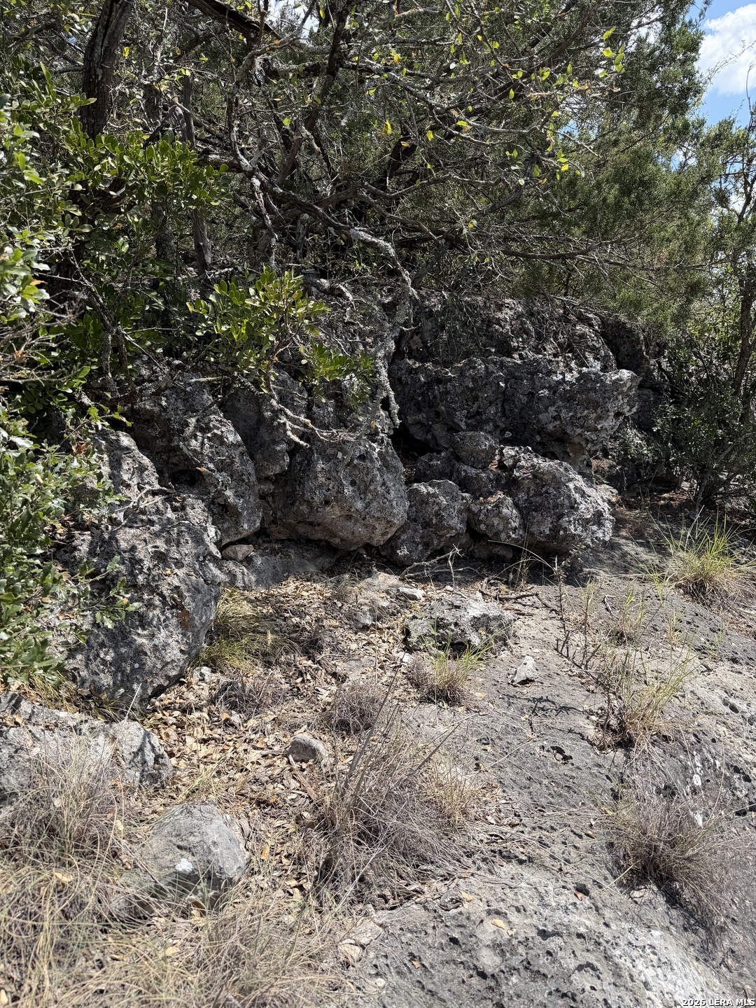 267 Sd 46066 Rocksprings TX 78880
