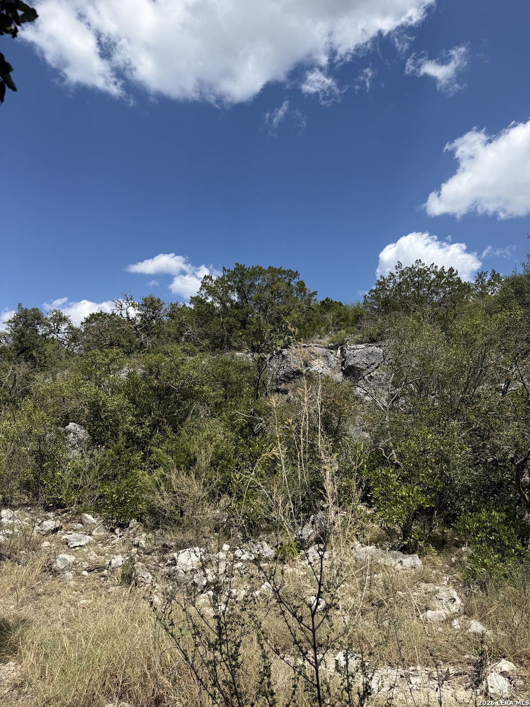 267 Sd 46066 Rocksprings TX 78880