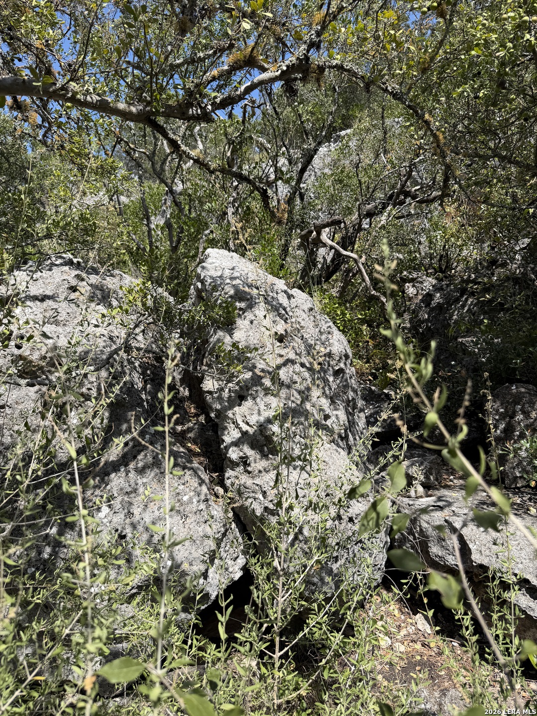 267 Sd 46066 Rocksprings TX 78880