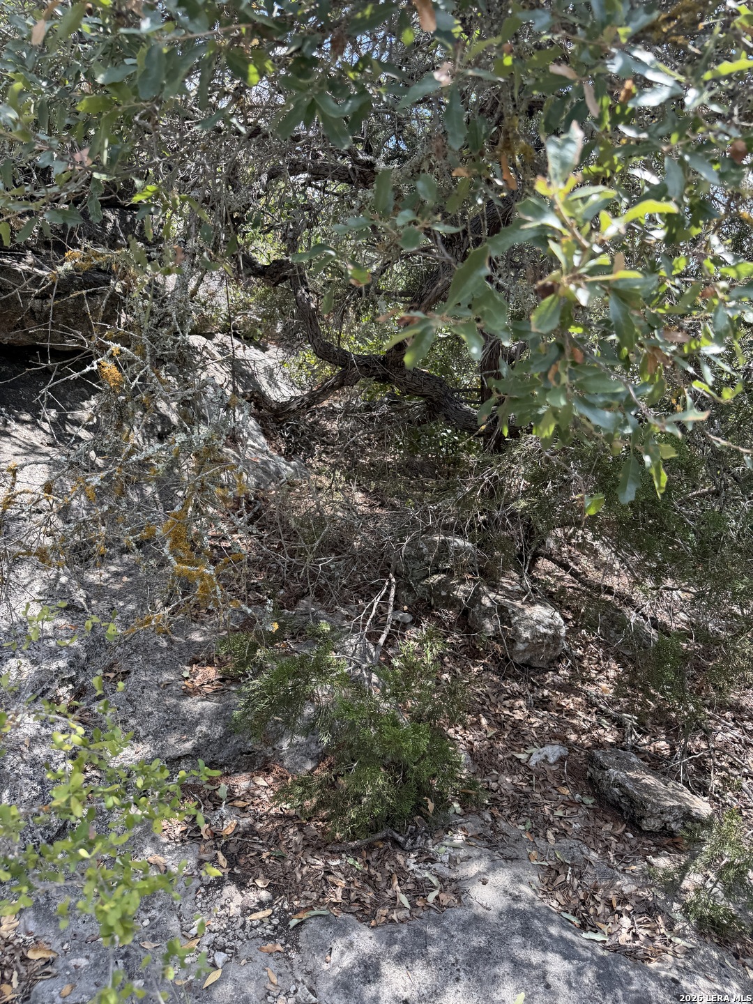 267 Sd 46066 Rocksprings TX 78880