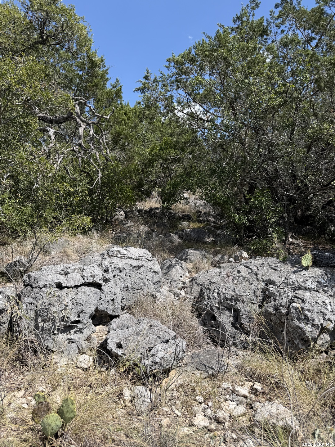 267 Sd 46066 Rocksprings TX 78880