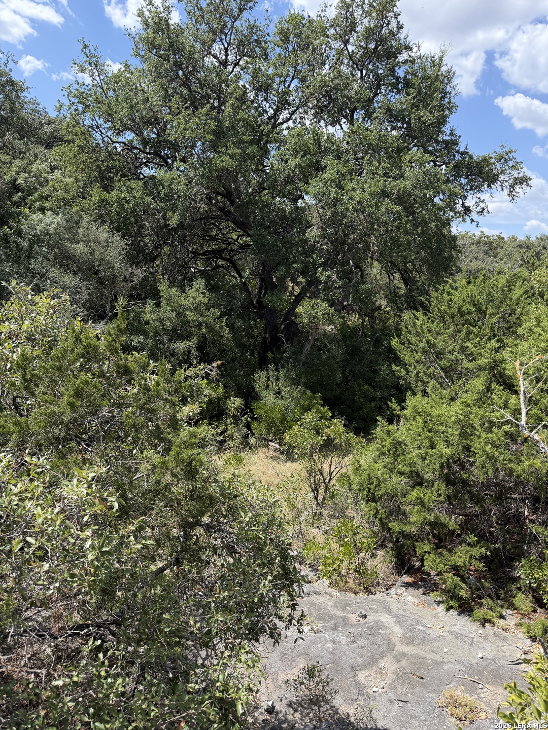 267 Sd 46066 Rocksprings TX 78880
