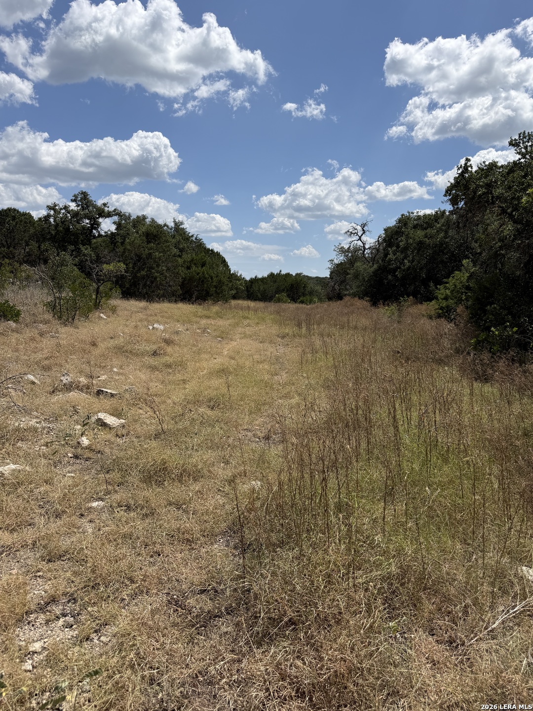 267 Sd 46066 Rocksprings TX 78880