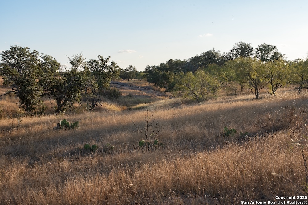 000 Black Jack Road Fredonia TX 76842