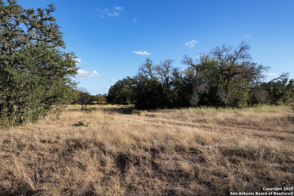000 Black Jack Road Fredonia TX 76842