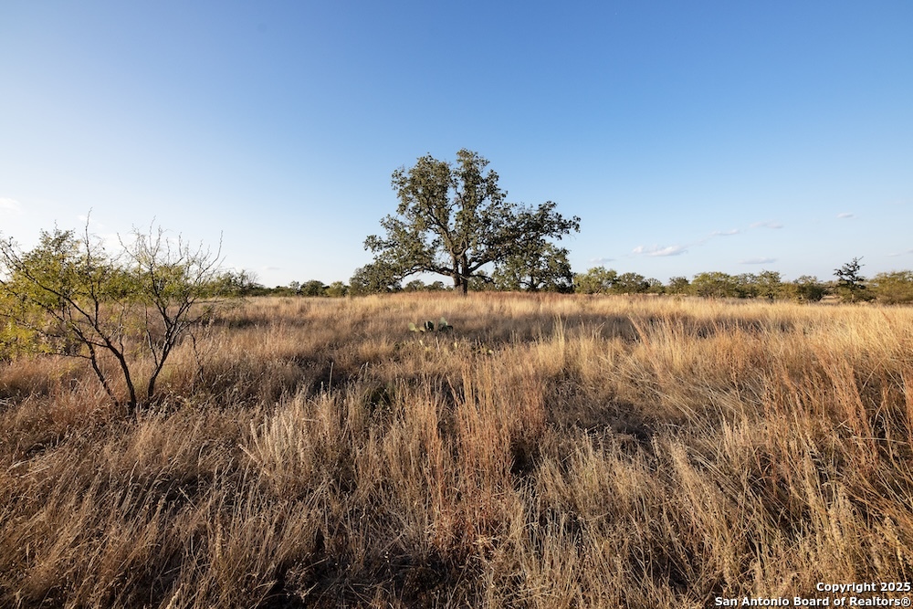 000 Black Jack Road Fredonia TX 76842
