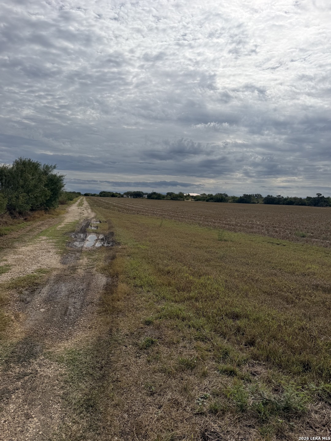 9524 N Us Highway 83 Uvalde TX 78801