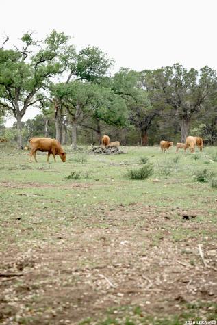 535 Elm Creek Road New Braunfels TX 78132