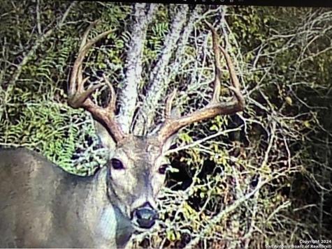 13004 Fm 3353 Kingsbury TX 78638