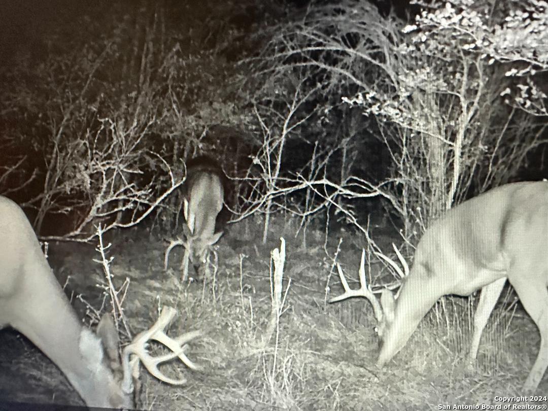 13004 Fm 3353 Kingsbury TX 78638