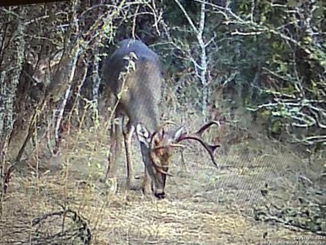 13004 Fm 3353 Kingsbury TX 78638