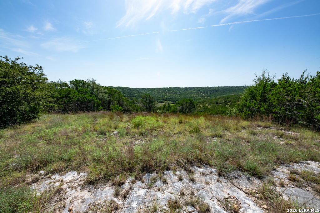 Tbd Crabapple Road Kendalia TX 78027