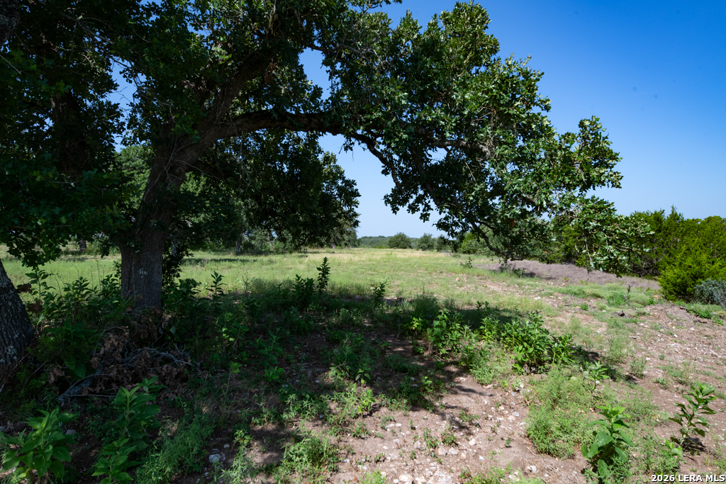 Tbd Crabapple Road Kendalia TX 78027