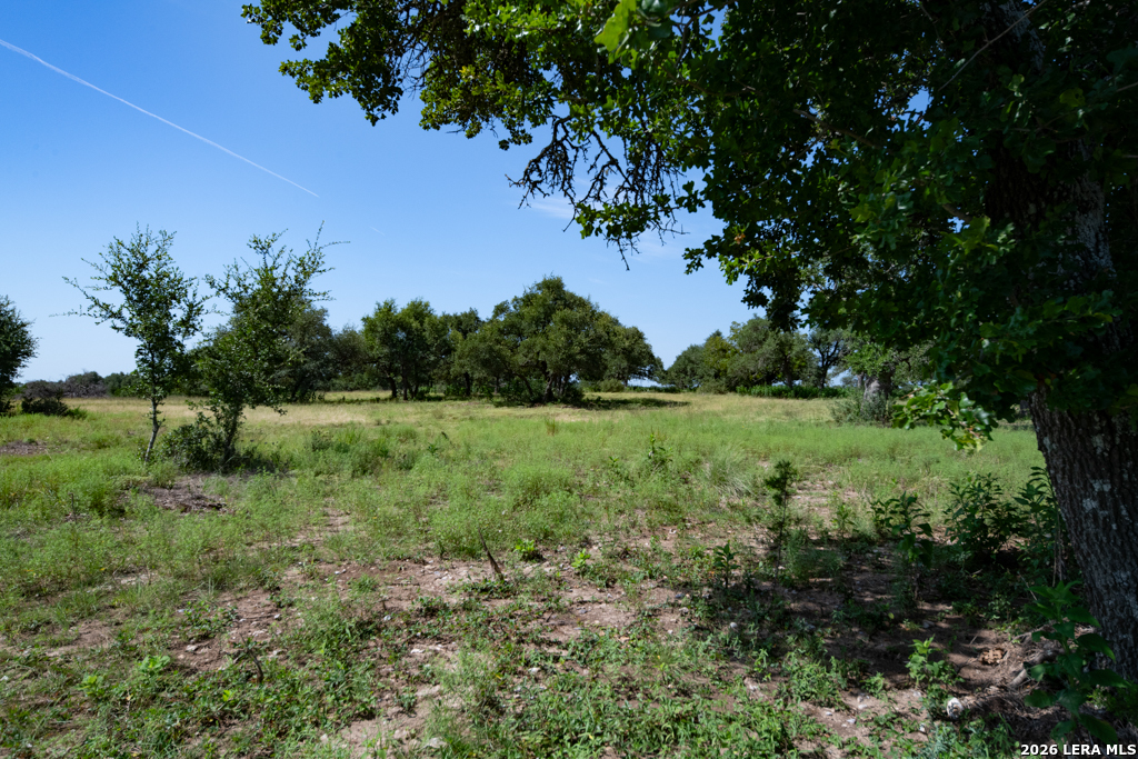 Tbd Crabapple Road Kendalia TX 78027