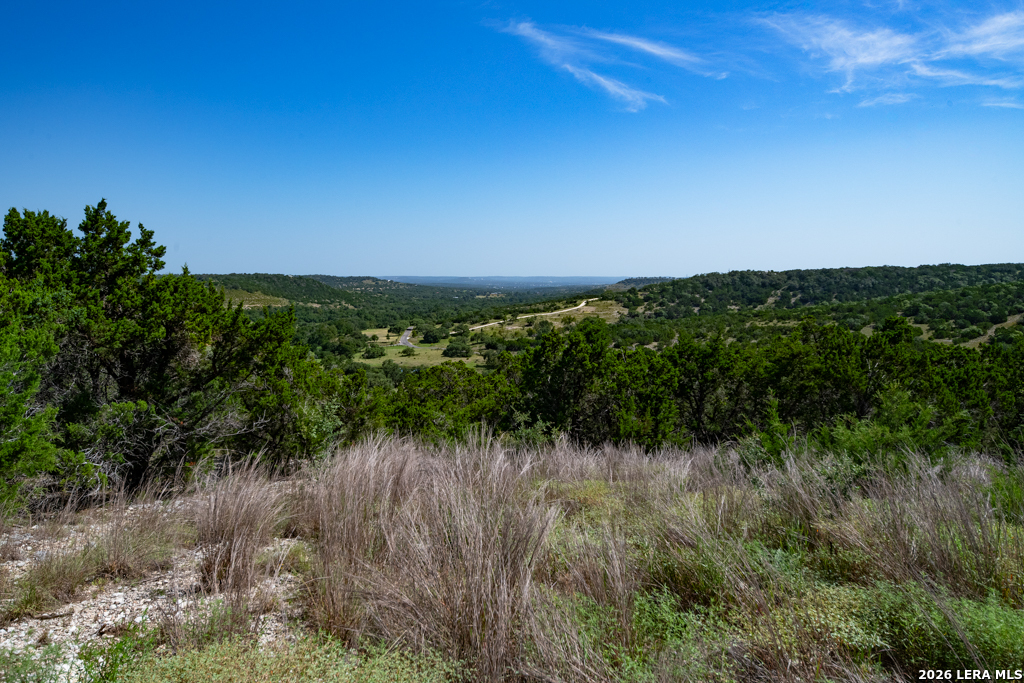 Tbd Crabapple Road Kendalia TX 78027