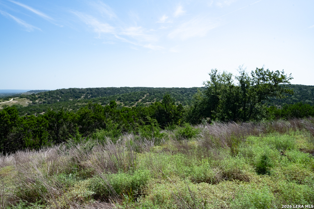 Tbd Crabapple Road Kendalia TX 78027