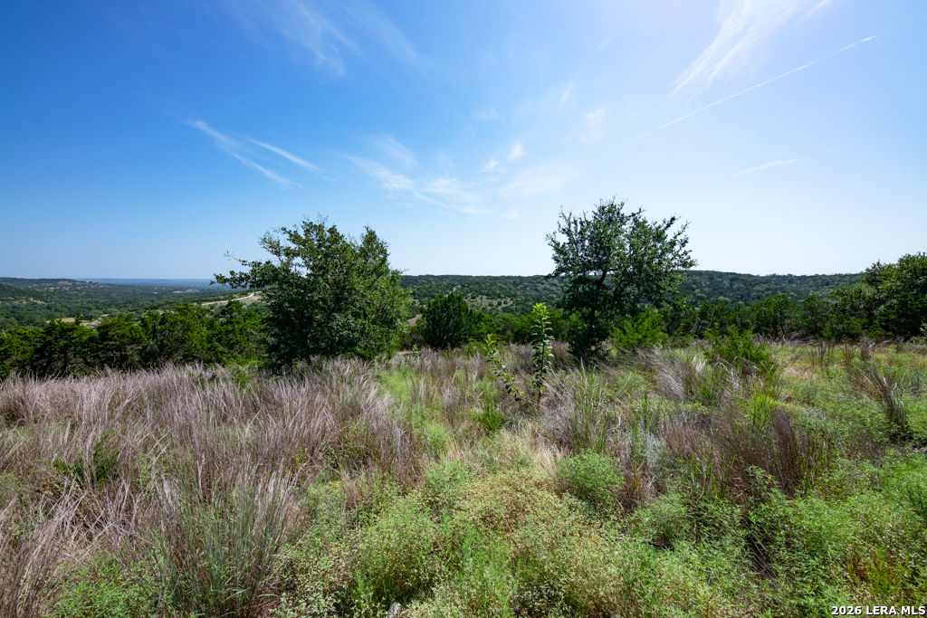 Tbd Crabapple Road Kendalia TX 78027