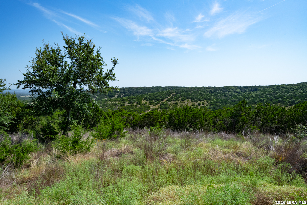 Tbd Crabapple Road Kendalia TX 78027