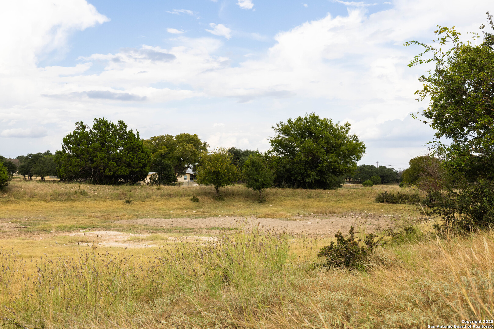 362 Coneflower Spring Branch TX 78070