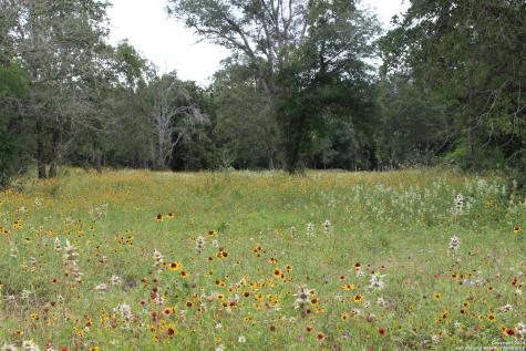 Tbd Twin Creeks Road Seguin TX 78155