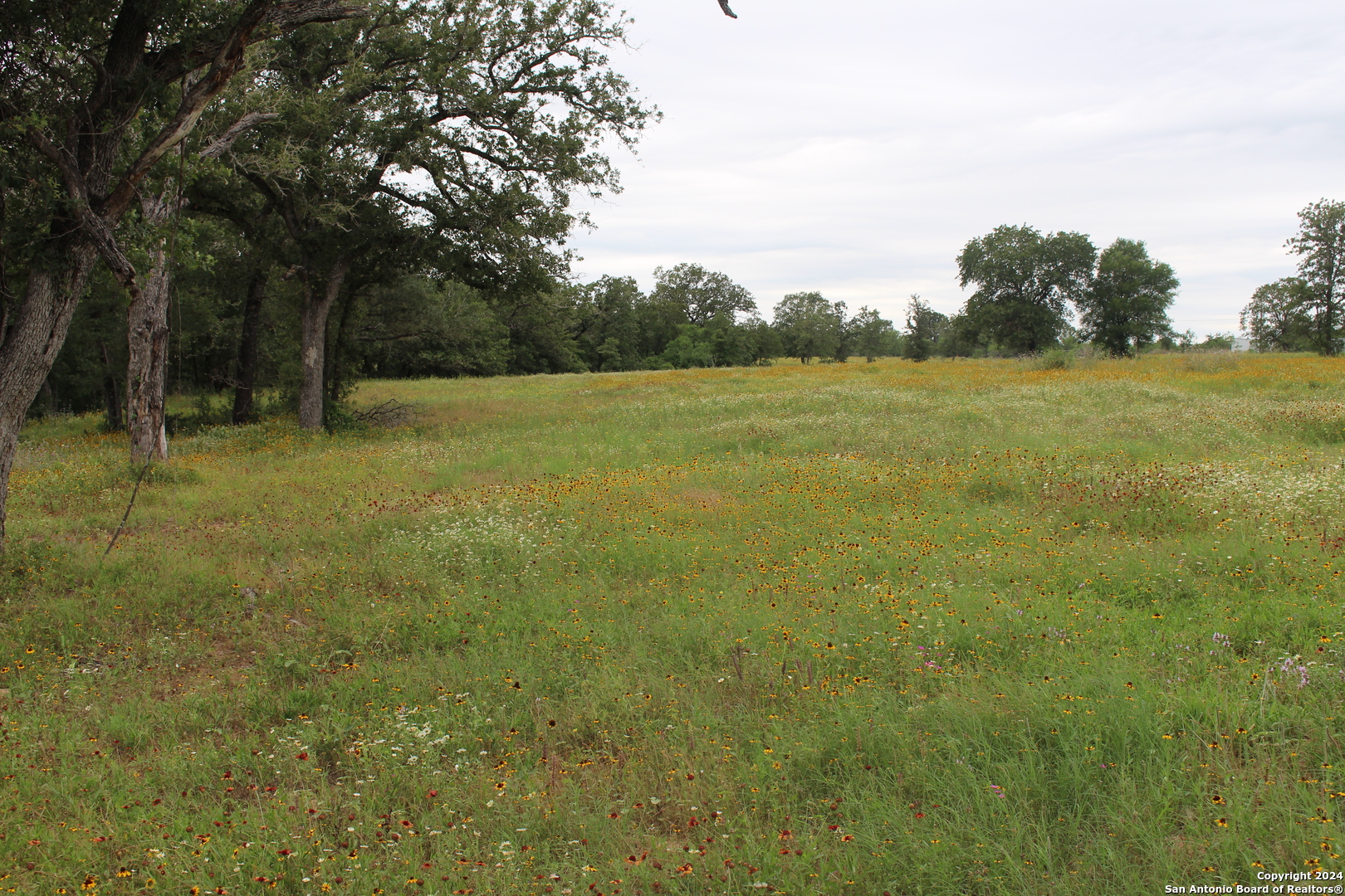 Tbd Twin Creeks Road Seguin TX 78155