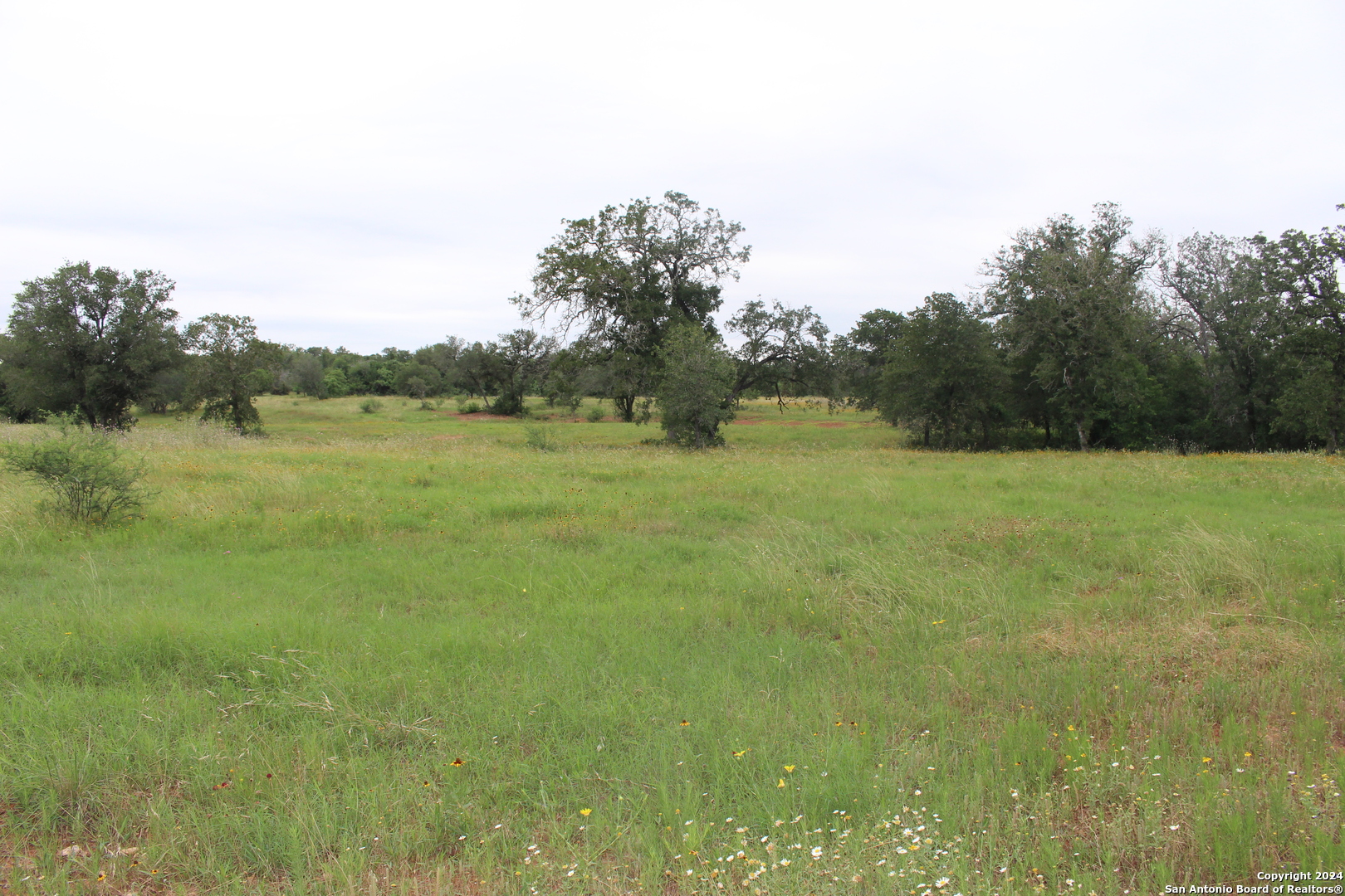 Tbd Twin Creeks Road Seguin TX 78155