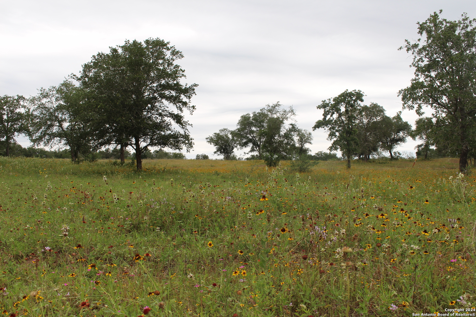 Tbd Twin Creeks Road Seguin TX 78155