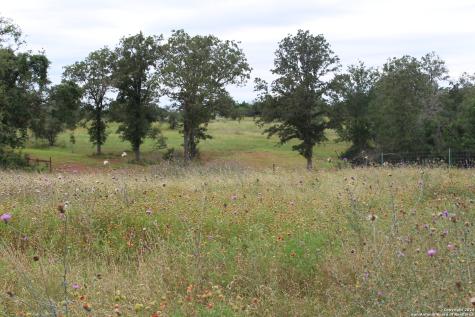 Tbd Twin Creeks Road Seguin TX 78155