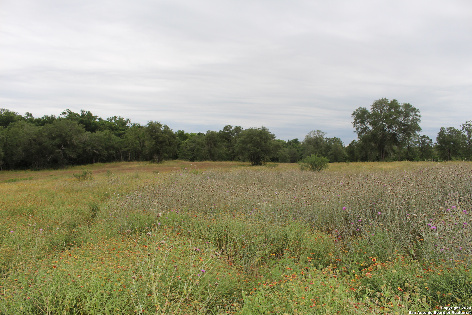 Tbd Twin Creeks Road Seguin TX 78155