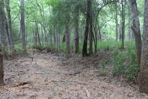Tbd Twin Creeks Road Seguin TX 78155
