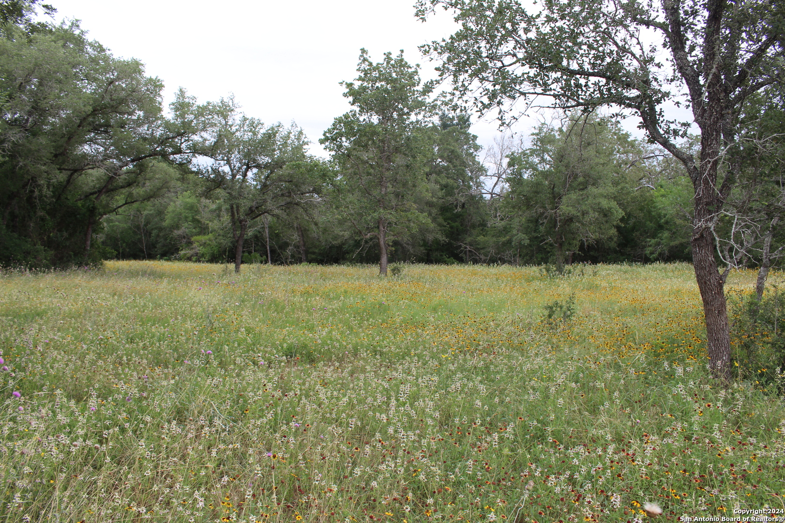 Tbd Twin Creeks Road Seguin TX 78155