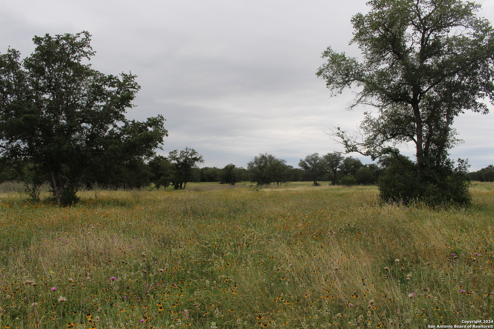 Tbd Twin Creeks Road Seguin TX 78155