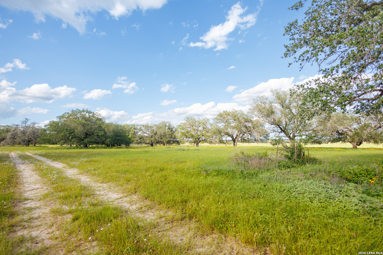 1698 W Fm 2200 Devine TX 78016