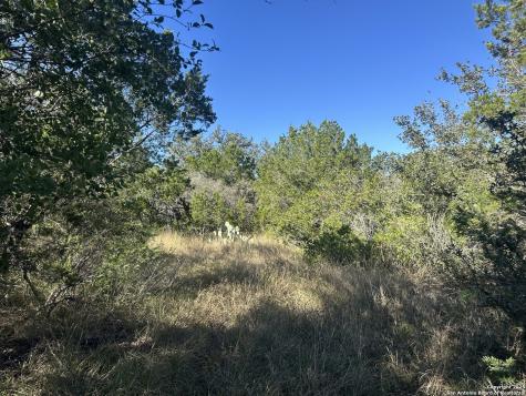 111 Private Road 3325 Concan TX 78838