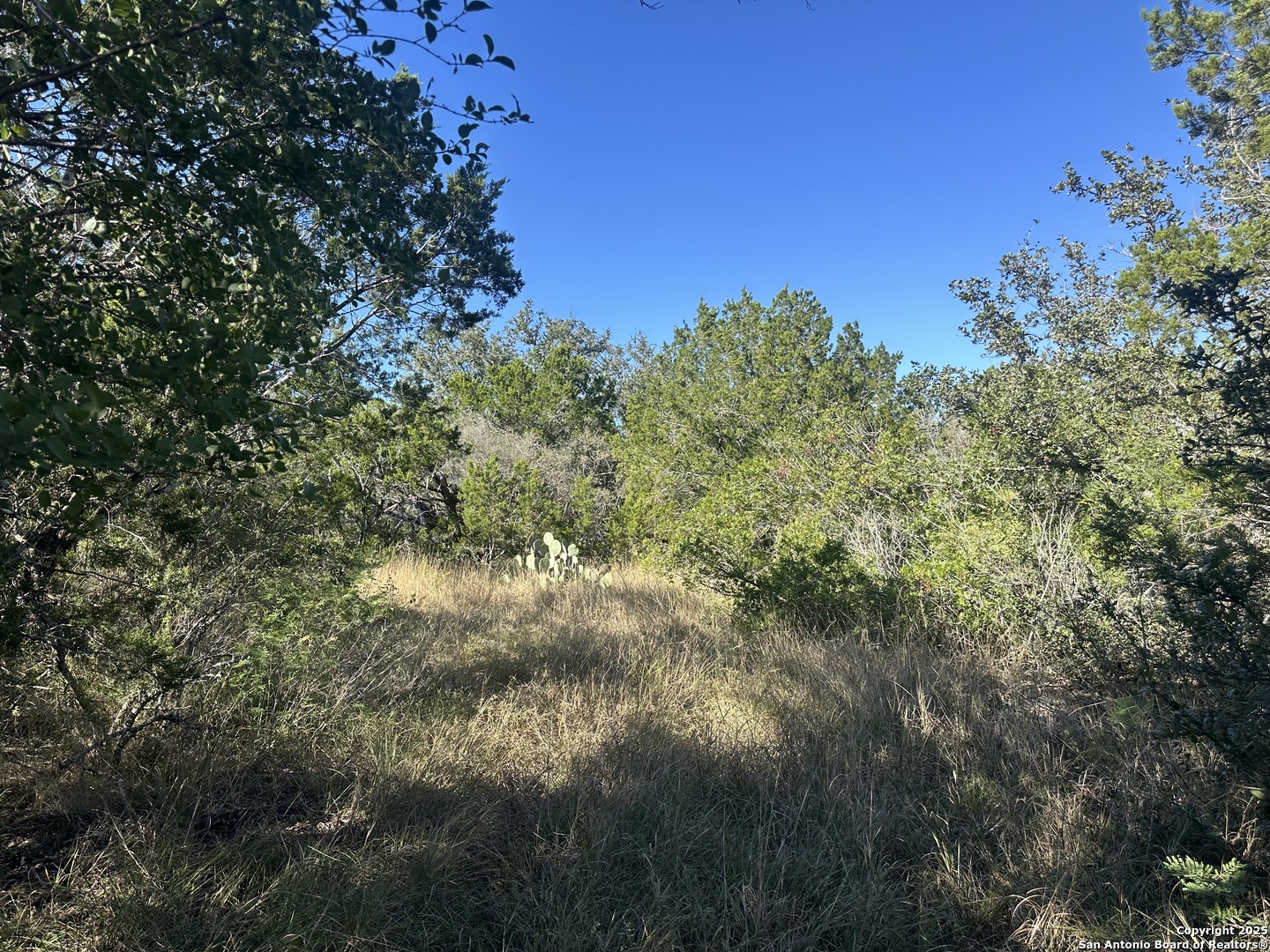 111 Private Road 3325 Concan TX 78838