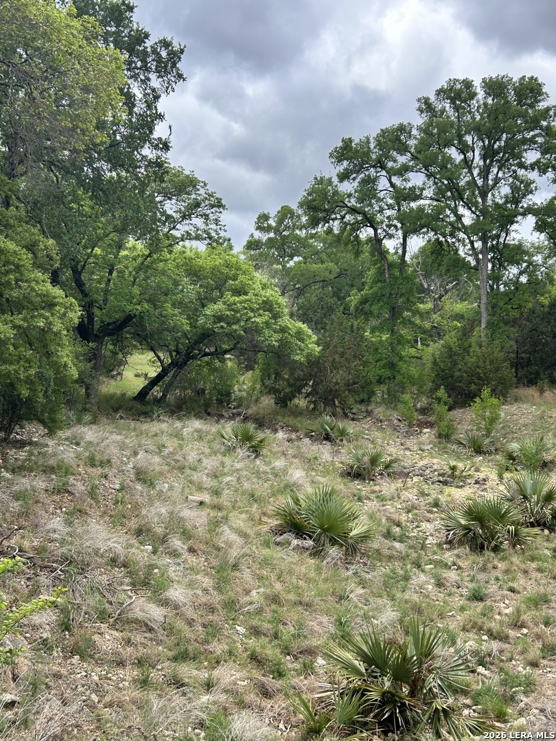 Tbd Camp Alzafar Boerne TX 78006