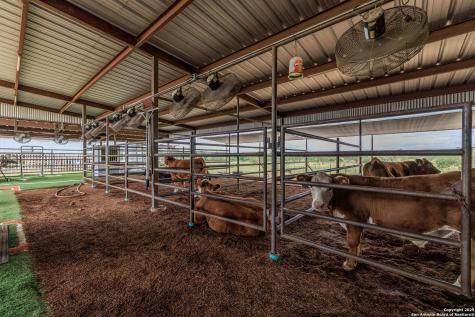 5686 Ranch Road 1631 Fredericksburg TX 78624