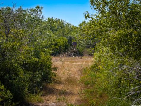 000 Cr 341 Beeville TX 78102