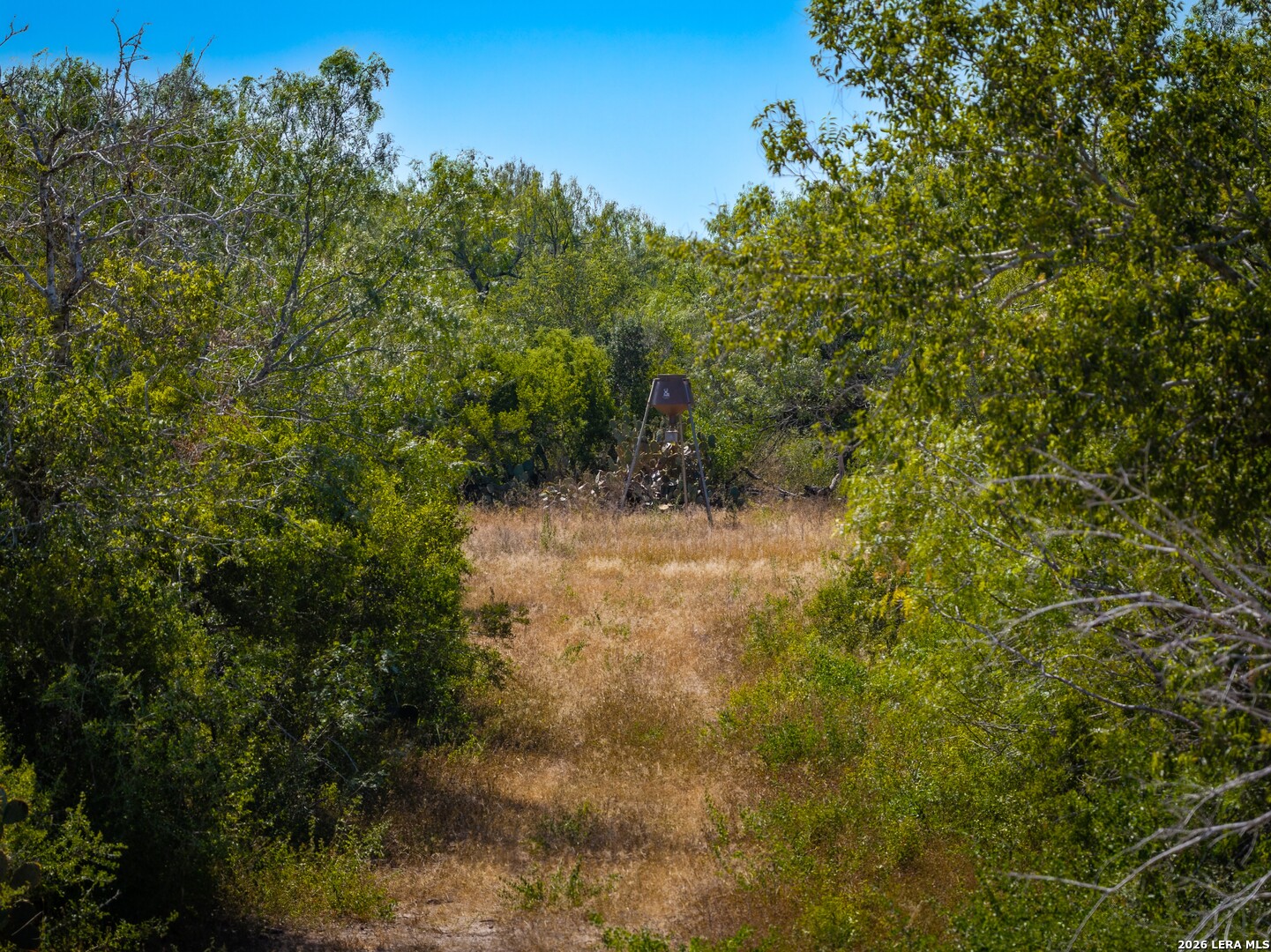 000 Cr 341 Beeville TX 78102