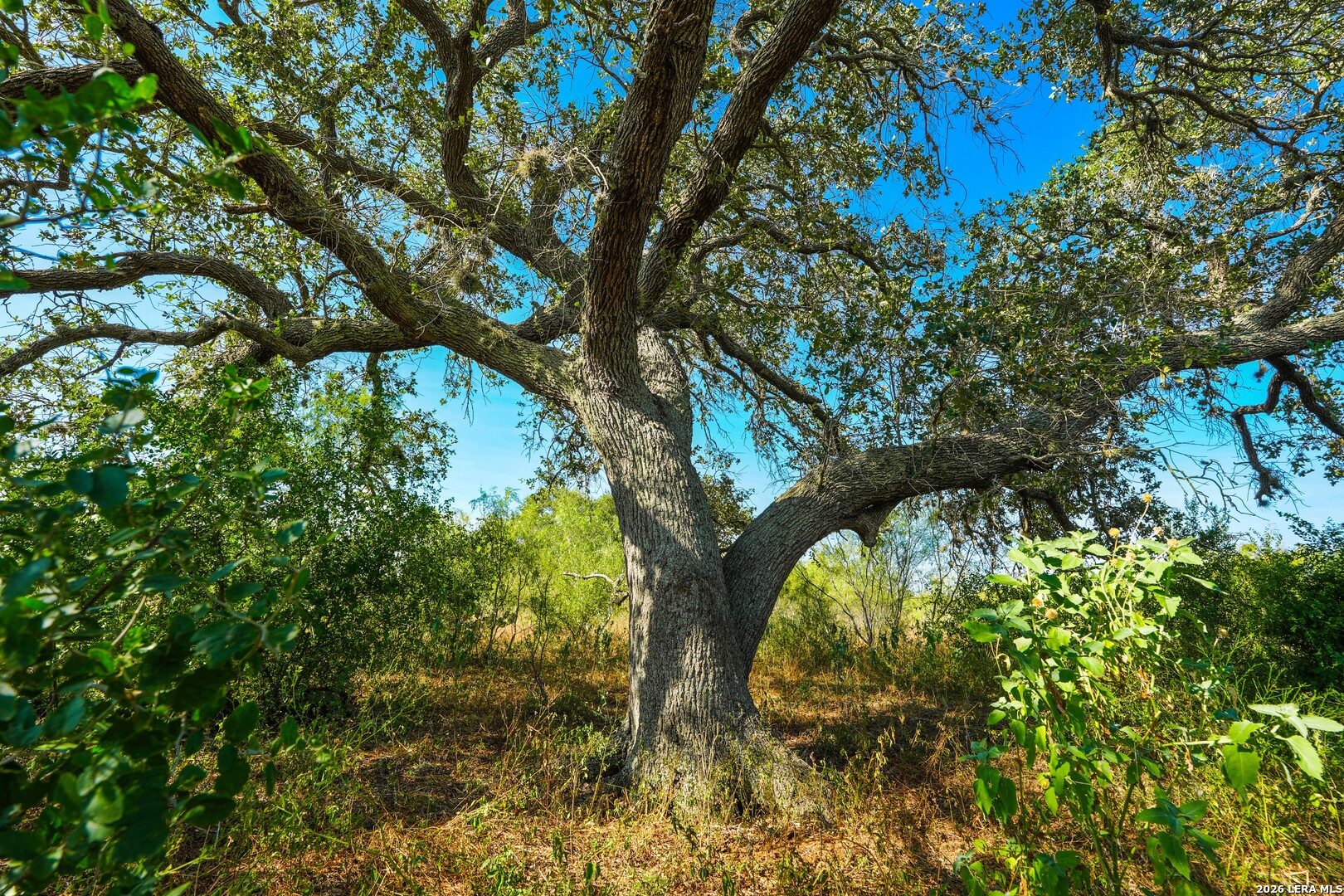 000 Cr 341 Beeville TX 78102