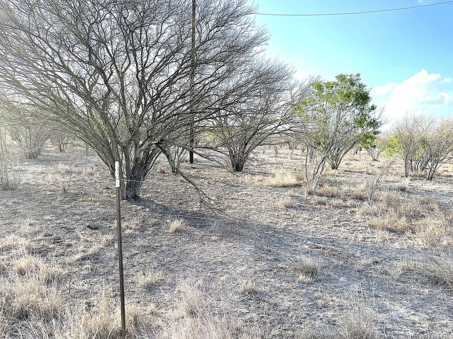 13538 Cr 133 Pawnee TX 78102