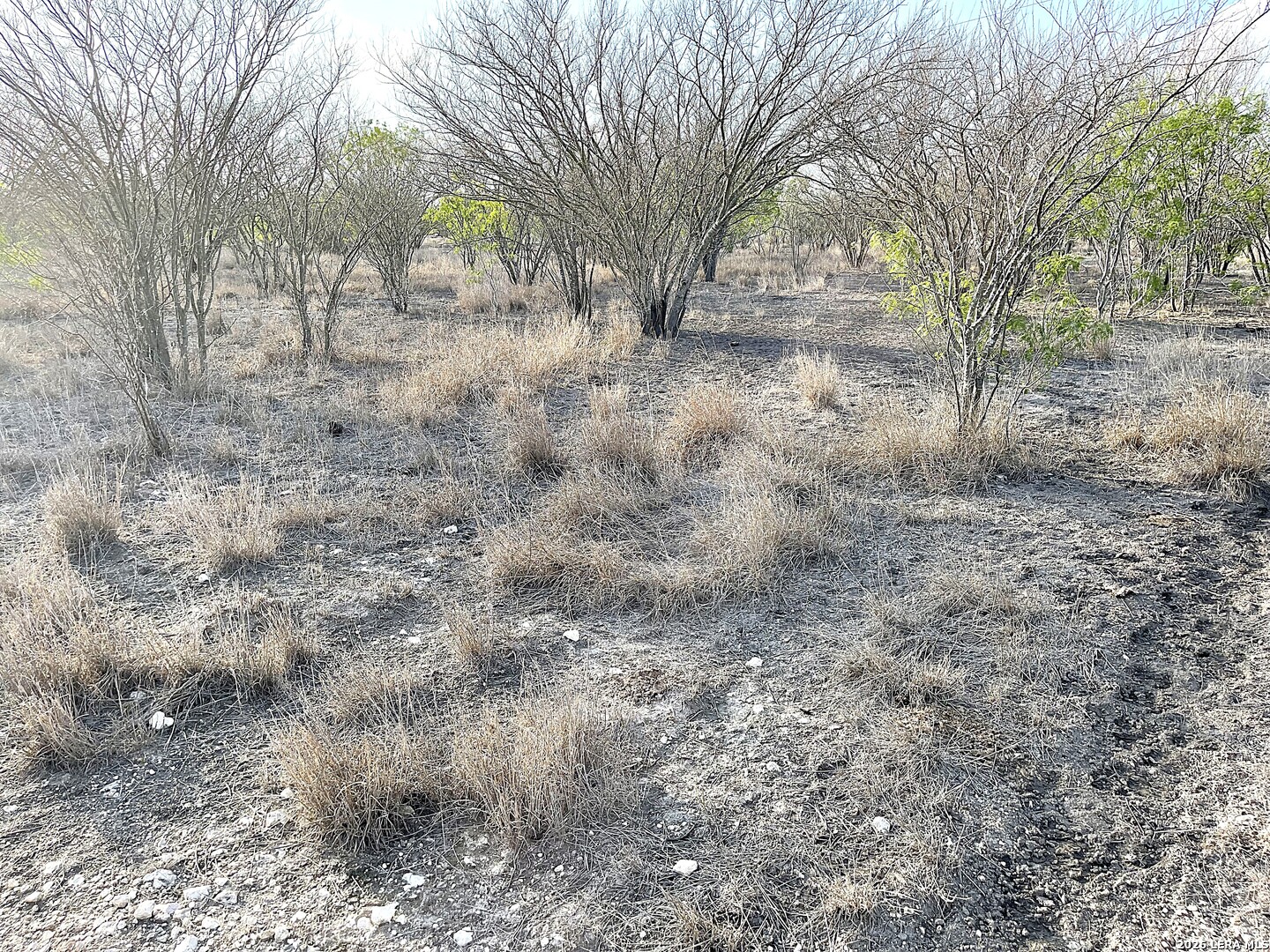 13538 Cr 133 Pawnee TX 78102