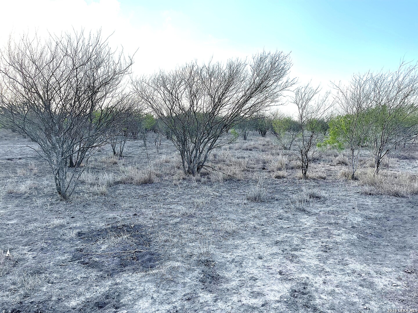 13538 Cr 133 Pawnee TX 78102